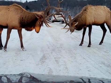 parc omega opening times